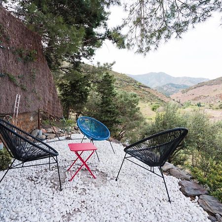 Maison F2 Independante Avec Terrasse, Climatisation Et Wifi A Banyuls-Sur-Mer - Fr-1-309-262 Kültér fotó