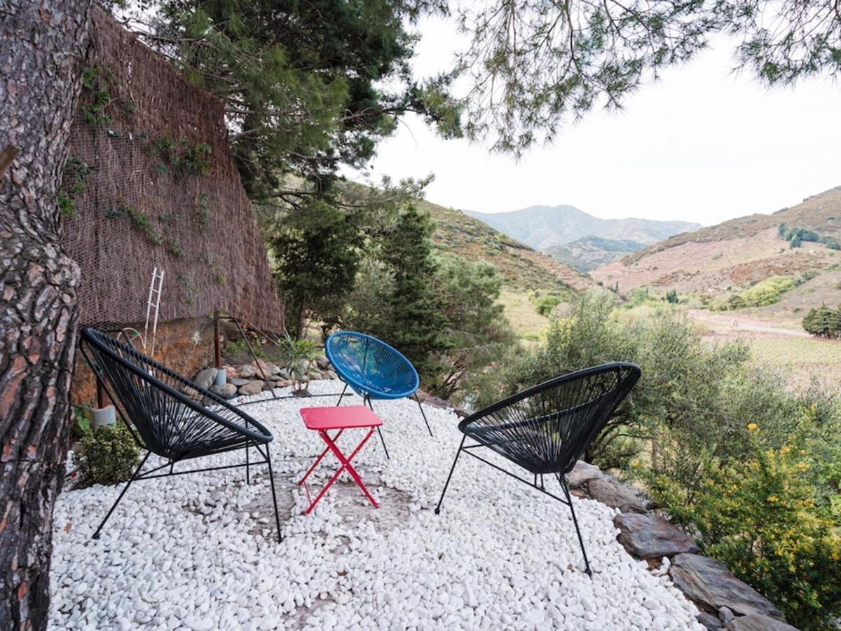 Maison F2 Independante Avec Terrasse, Climatisation Et Wifi A Banyuls-Sur-Mer - Fr-1-309-262 Kültér fotó